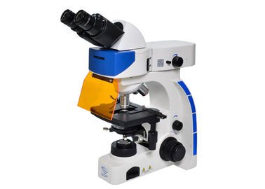 Chine Microscope de fluorescence droit d'UOP, microscopie de fluorescence de haute résolution fournisseur
