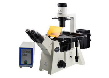 Chine Microscope droit et inversé de filtre optique du microscope inversé par DSY5000X B/G/V/UV fournisseur