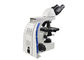 le photomicroscope binoculaire de microscope biologique du laboratoire 100X avec 3W LED s'allume fournisseur