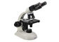Microscope binoculaire 10x 40x 100x d'étudiant de laboratoire de microscope de biologie fournisseur