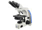 Le plus haut microscope de rapport optique de microscope binoculaire professionnel d'Uop fournisseur