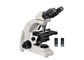 Microscope droit 10x 40x 100x de phase de microscope binoculaire de contraste fournisseur