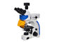 Microscope de fluorescence droit de LED Trinocular avec B et filtre de fluorescence de G fournisseur