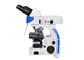 Microscope de fluorescence droit d'UOP, microscopie de fluorescence de haute résolution fournisseur