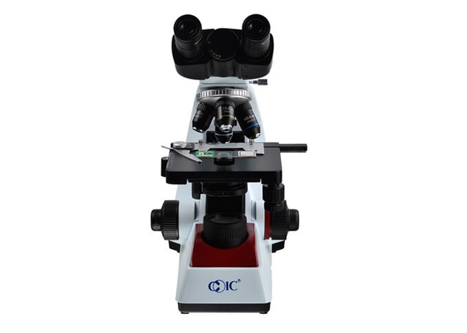 Microscope binoculaire électronique de système optique de Finity avec la lampe d'halogène