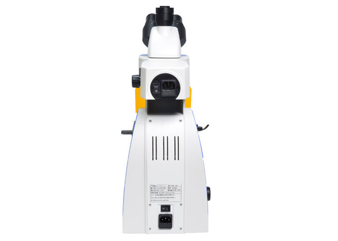 Microscope de fluorescence droit de LED Trinocular avec B et filtre de fluorescence de G