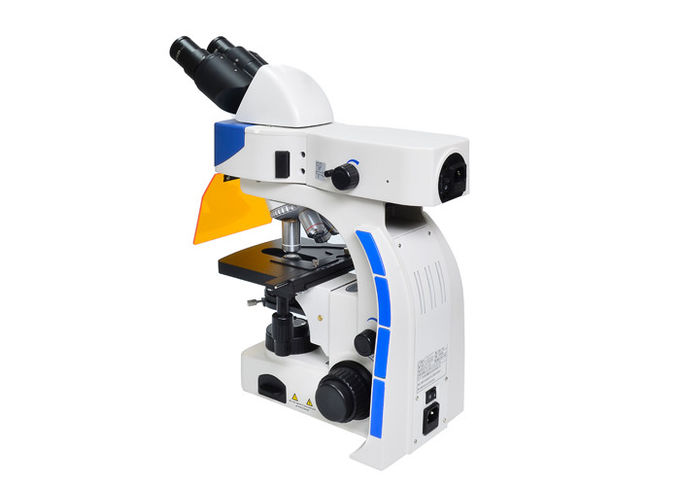 Microscope de fluorescence droit d'UOP, microscopie de fluorescence de haute résolution