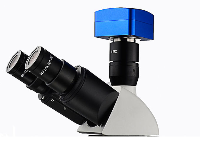 Microscope métallurgique optique professionnel UM203i avec la source lumineuse de 12V 50W