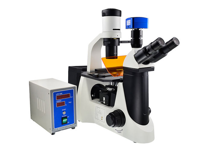 Microscope de fluorescence inversé par UOP de contraste de phase avec le filtre de B G