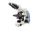 Microscope optique composé avancé binoculaire pour le laboratoire biologique fournisseur