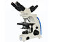 position multi légère du rapport optique 2 du microscope 1000x de visionnement de 3W LED fournisseur