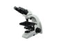 noir blanc de rapport optique du microscope biologique 40-1000X de laboratoire de 6V 20W fournisseur