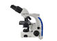 le photomicroscope binoculaire de microscope biologique du laboratoire 100X avec 3W LED s'allume fournisseur
