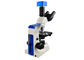 Oculaire clinique des microscopes WF10X18 de laboratoire de niveau d'entrée C303 pour l'hôpital fournisseur