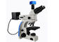 Microscope de fluorescence droit de lumière transmise UMT203i pour les laboratoires légaux fournisseur