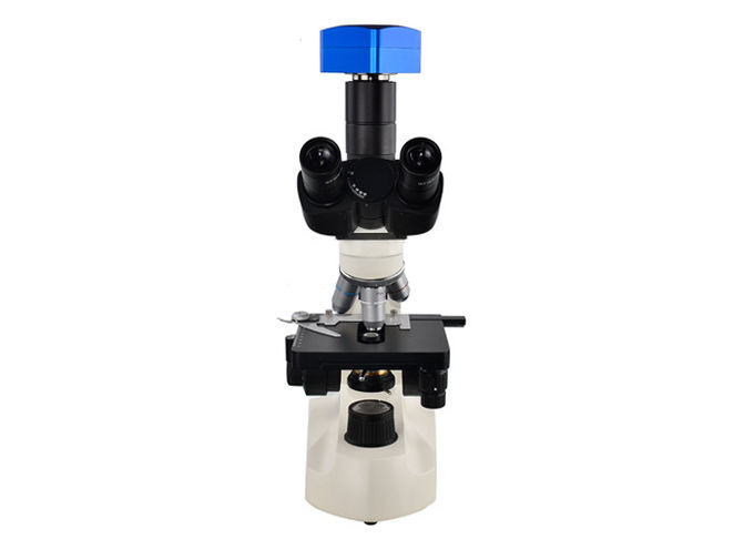 Oculaire clinique des microscopes WF10X18 de laboratoire de niveau d'entrée C303 pour l'hôpital