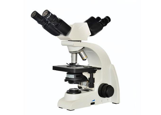 Microscope optique du rapport optique 100x pour l'enseignement d'éducation d'école