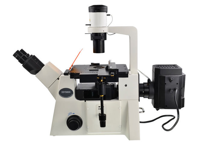 Microscope droit et inversé de filtre optique du microscope inversé par DSY5000X B/G/V/UV
